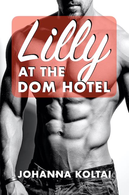 Lilly at the Dom Hotel Book