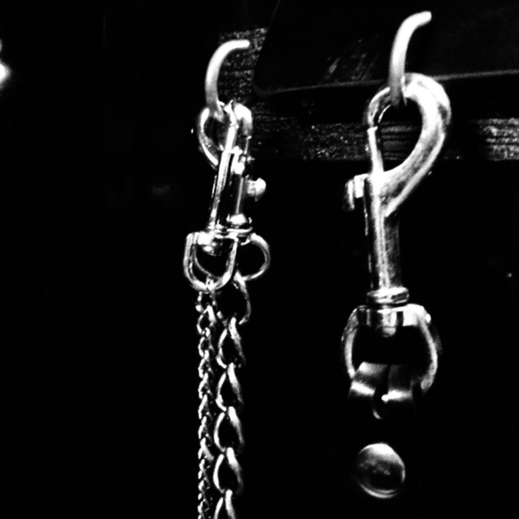 Black and white close-up of metal BDSM clips and chains attached to leather