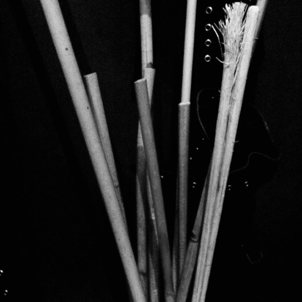 Black and white close-up of bamboo canes arranged vertically against a dark background